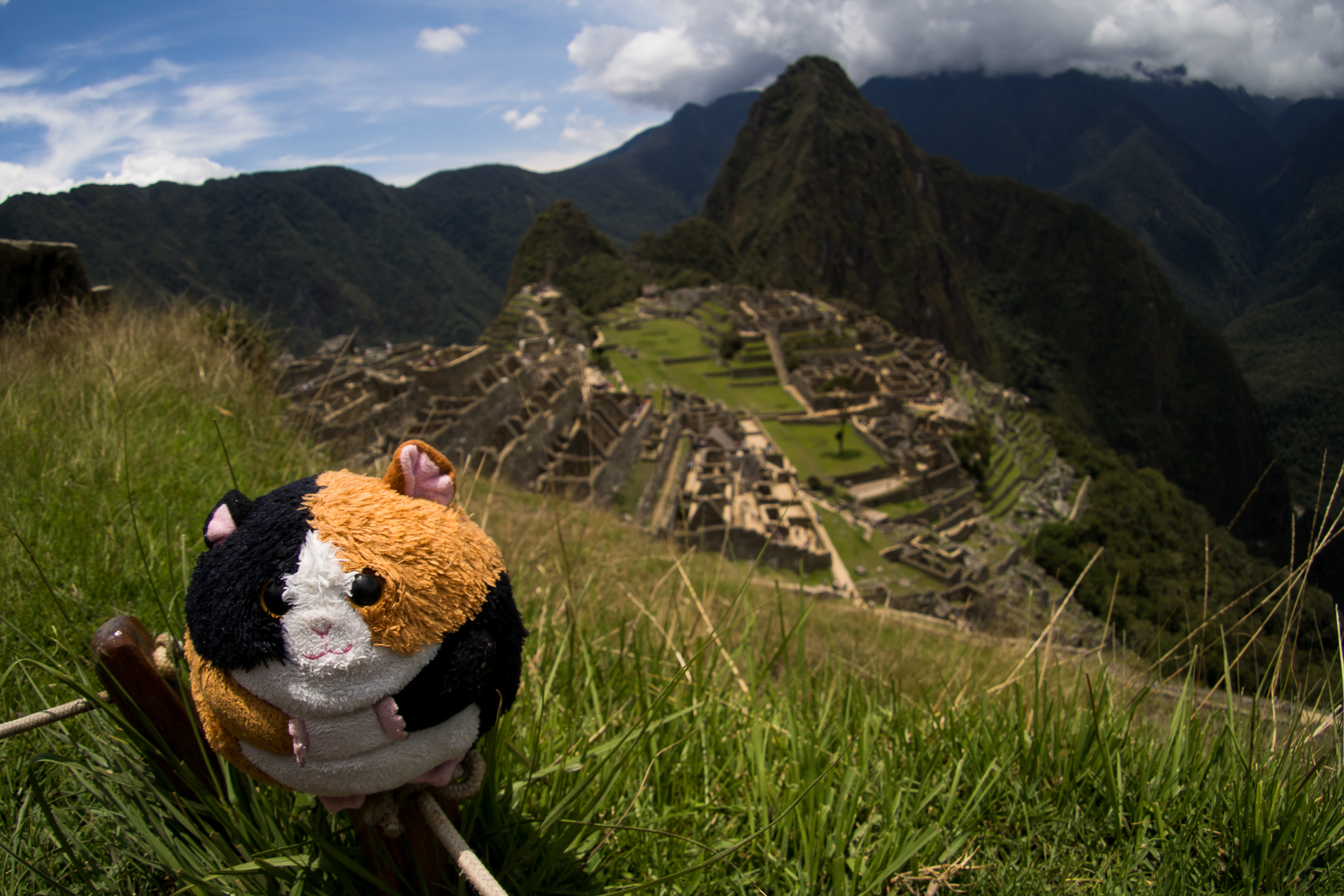 Von wilden Tieren, Touri-Action am Machu Picchu und Titicacasee bis zur wilden Halloweenparty in La Paz/Bolivien